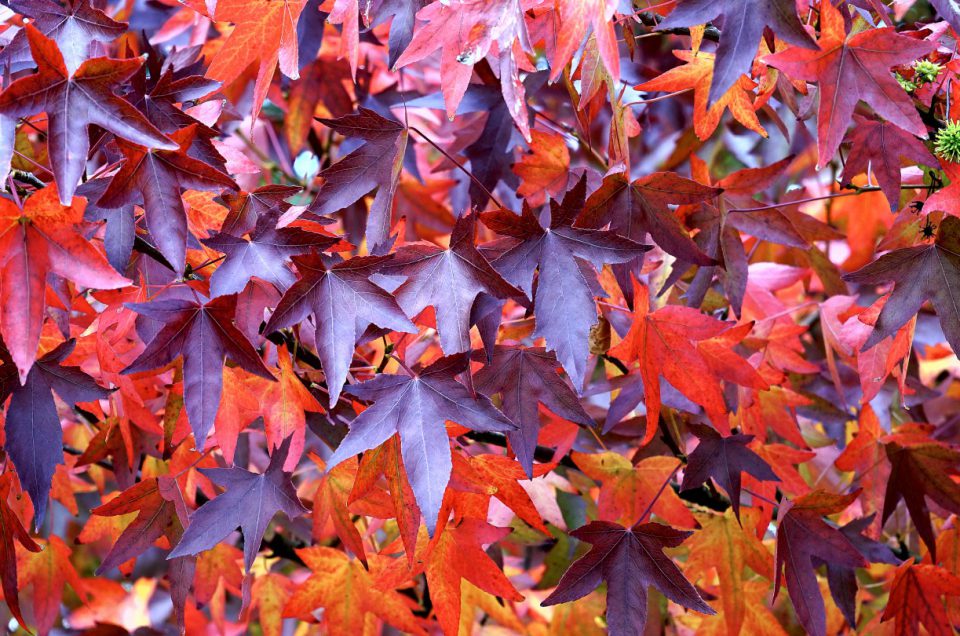 نوشته شماره دو